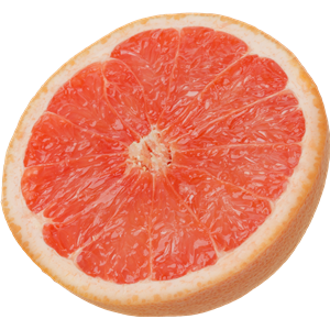 Grapefruit PNG-15251